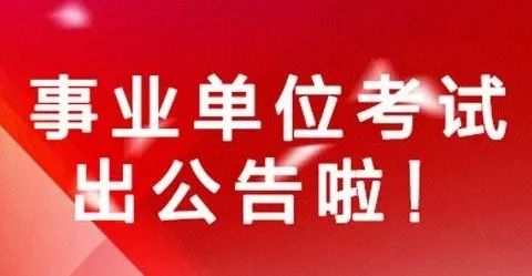 达县审计局最新招聘公告详解