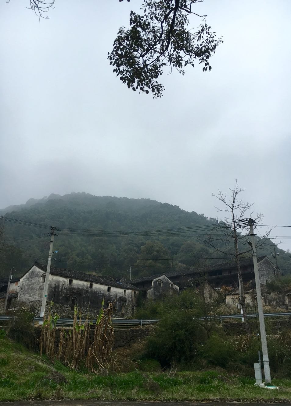 大山镇天气预报更新通知