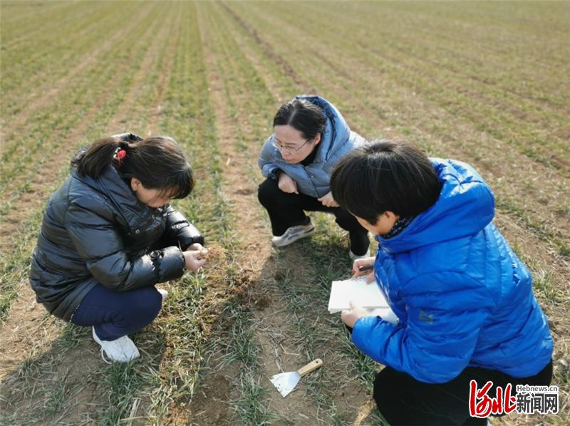 河北区农业农村局最新招聘信息全面解析