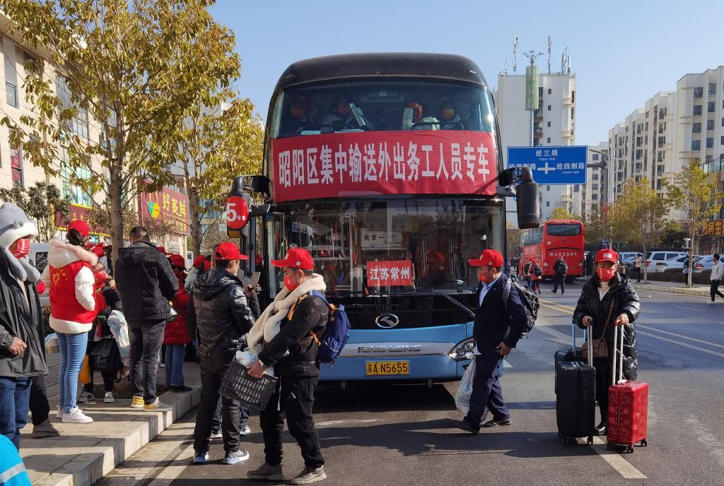 龙泉市初中最新招聘概览